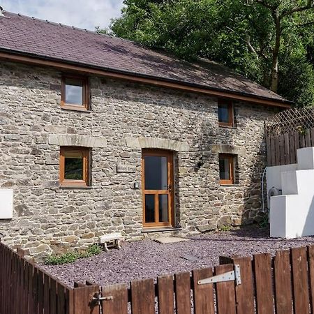 Millers Cottage Llandysul Exteriör bild